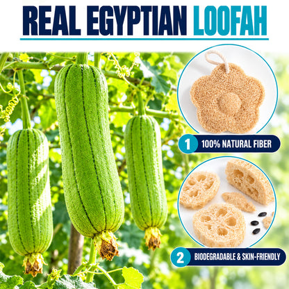 ShowrCove™ Natural Loofah Towel